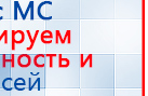 СКЭНАР-1-НТ (исполнение 02.1) Скэнар Про Плюс купить в Махачкале, Аппараты Скэнар купить в Махачкале, Скэнар официальный сайт - denasvertebra.ru